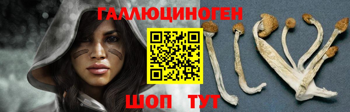 Псилоцибиновые грибы ЛСД Лосино-Петровский